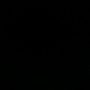 Meet your Posher, Princess